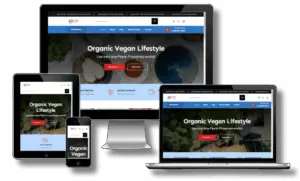 Multipurpose Online Store